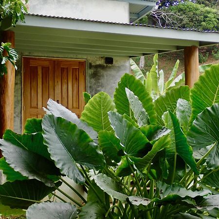 Casa Salvaje Vacation Rentals Бокас Екстер'єр фото