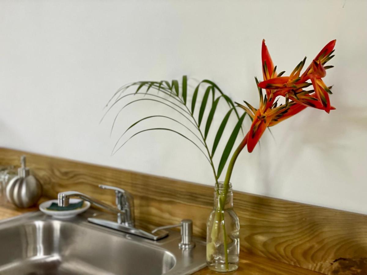 Casa Salvaje Vacation Rentals Бокас Екстер'єр фото