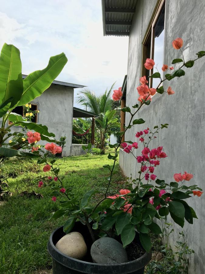 Casa Salvaje Vacation Rentals Бокас Екстер'єр фото