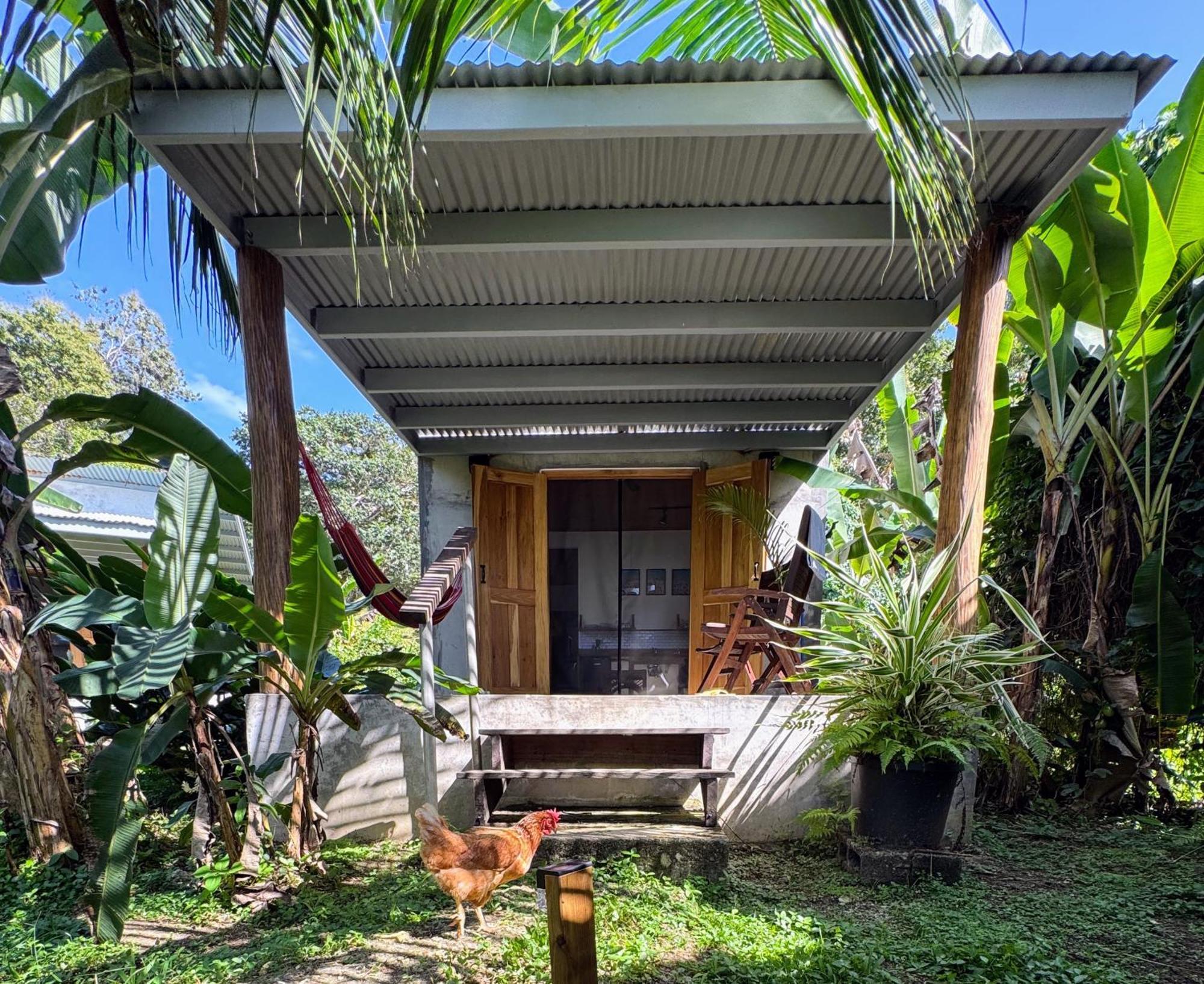 Casa Salvaje Vacation Rentals Бокас Екстер'єр фото