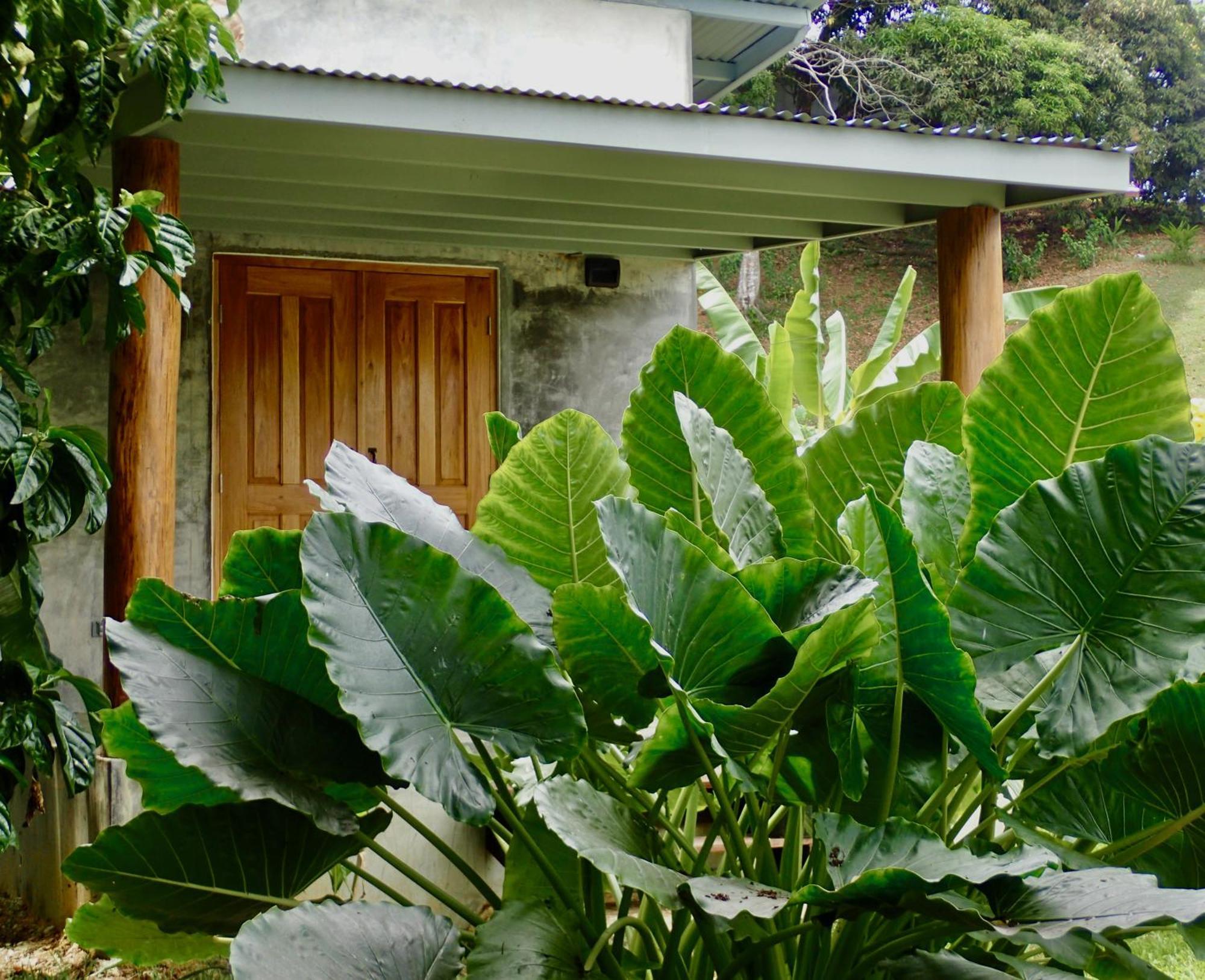 Casa Salvaje Vacation Rentals Бокас Екстер'єр фото