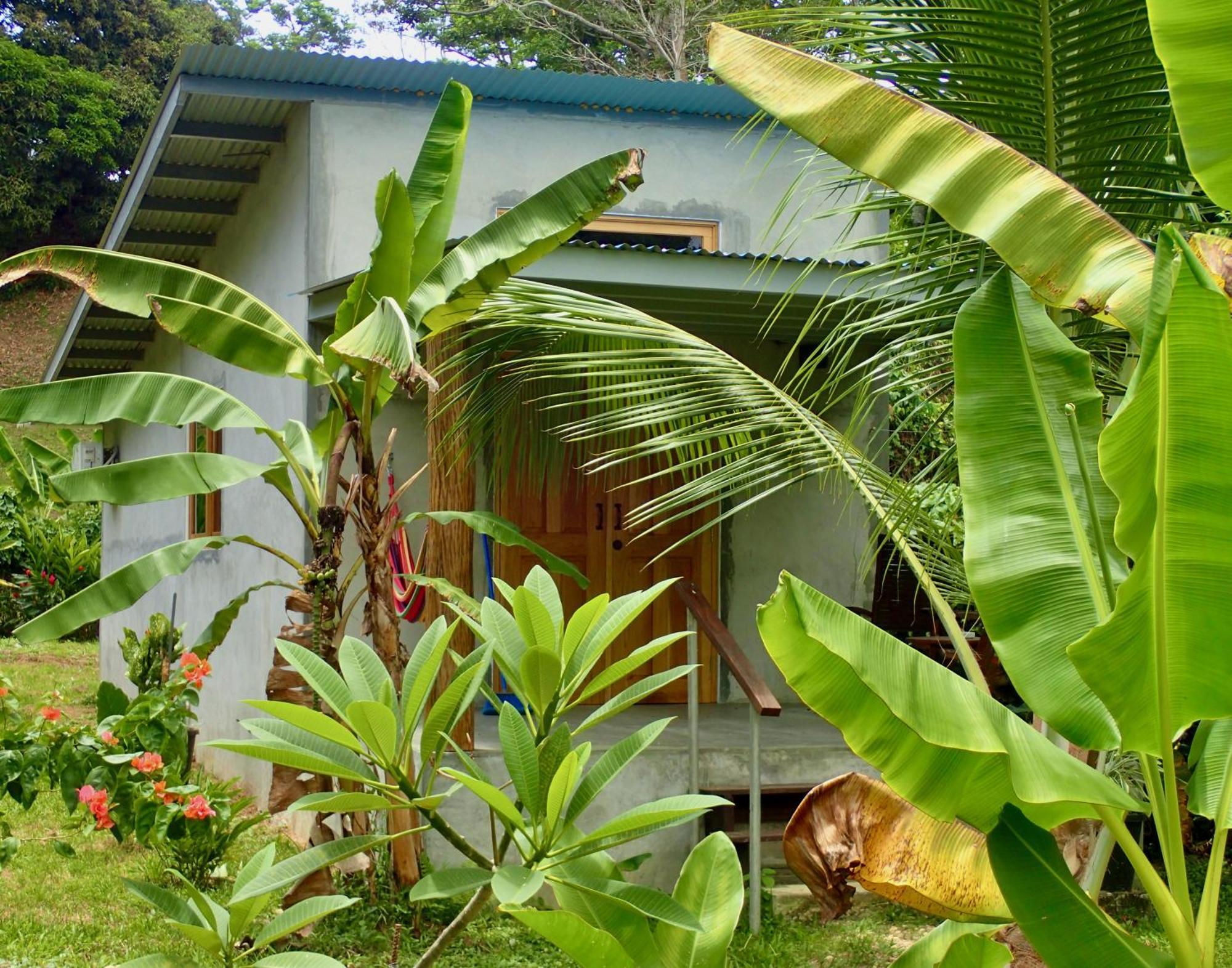 Casa Salvaje Vacation Rentals Бокас Екстер'єр фото